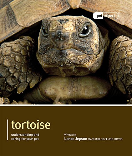 Close-up of a tortoise head on a book cover titled Tortoise.