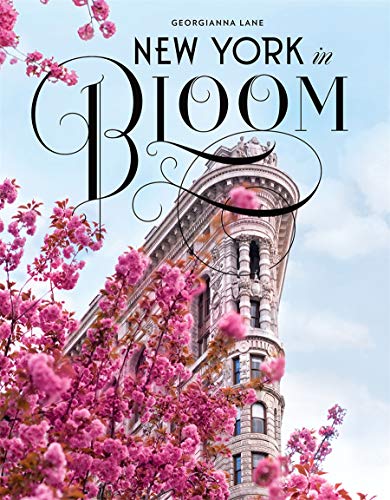Book cover featuring the Flatiron Building framed by pink blossoms.