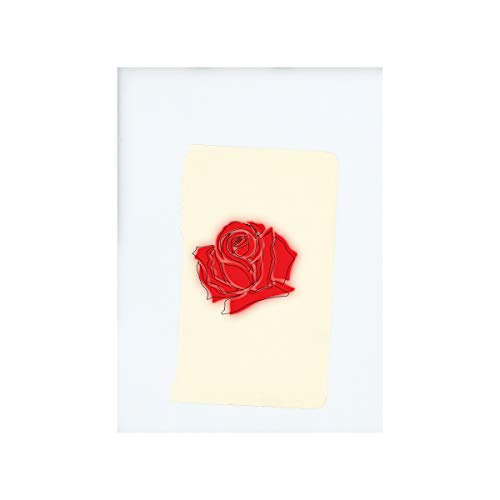 LANY vinyl record cover featuring a red rose illustration.