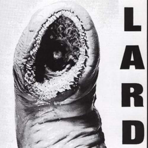 Black and white CD cover with a disturbing, textured image and bold text.