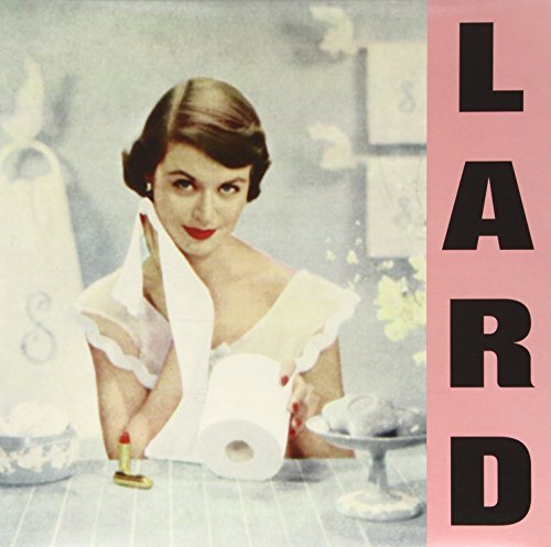 Vintage-style album cover featuring a woman with household items.