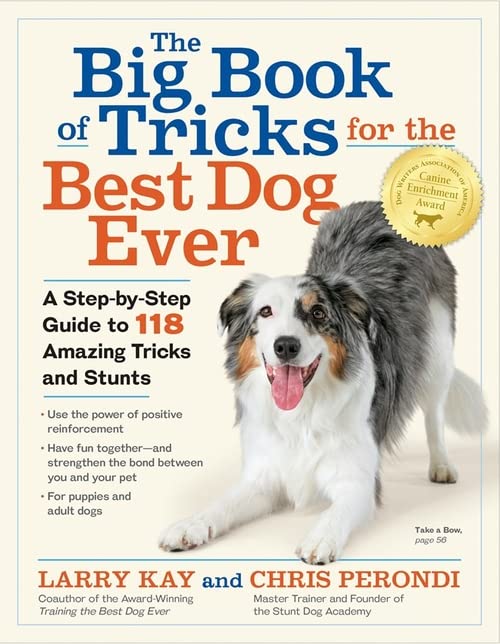 Book cover featuring a smiling Australian Shepherd and dog training guide title.