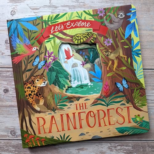 Rainforest animals and plants illustrated on a children’s book cover.