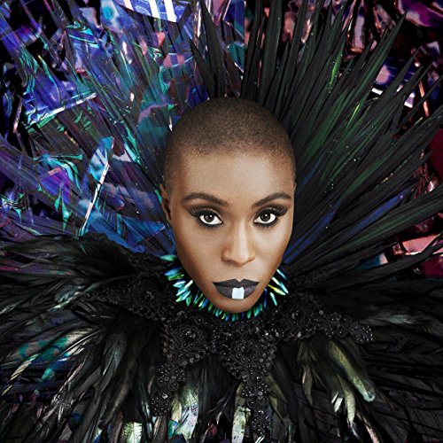 Laura Mvula portrait with dark feathers and iridescent makeup.