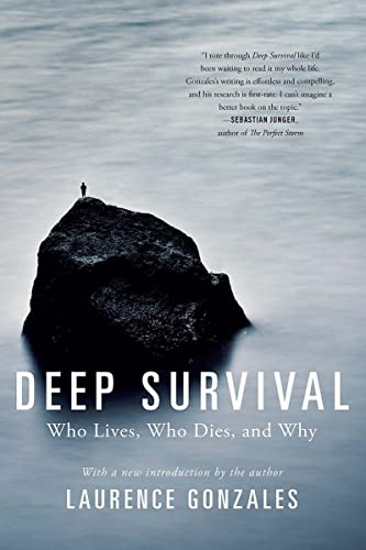 Book cover: dark seascape with a lone figure on a rocky outcrop.