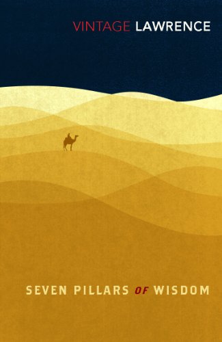 Book cover showing a lone camel silhouette against stylized yellow desert dunes at night.