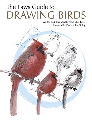 Book cover featuring a red cardinal and bird drawing tutorials.