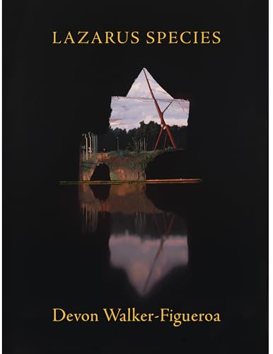 Book cover with a dark, surreal landscape and geometric shapes.