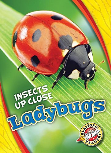 Close-up of a red ladybug with black spots on a green leaf.