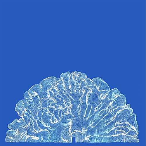 Blue background with a white, swirling, tree-like line drawing.