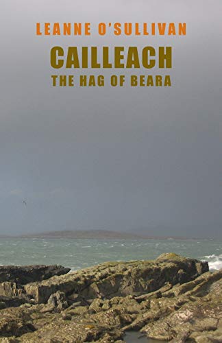 Book cover with rocky coastline and stormy grey sky.