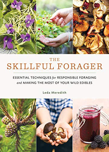 Book cover featuring foraged plants, mushrooms, and prepared edibles.