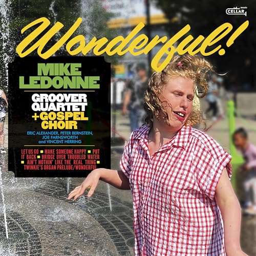 Vinyl album cover featuring a man in a checkered shirt and fountain.