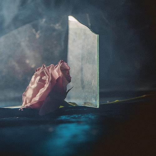 Album cover: a wilting pink rose and a fractured mirror in smoke.