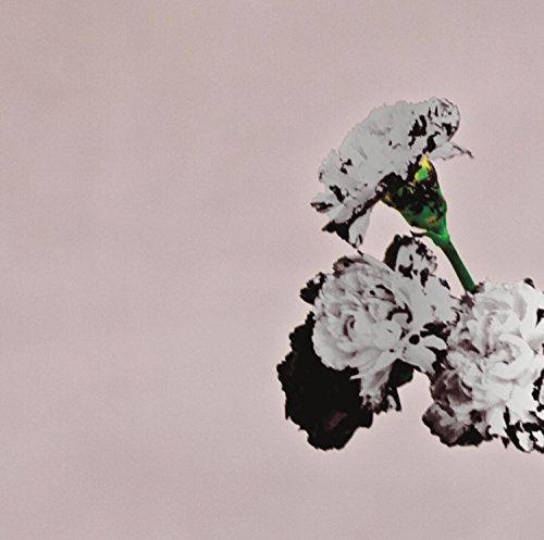 Album cover featuring a close-up of white and black carnations.