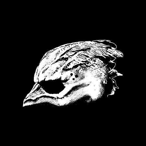 White seagull skull illustration on a black background.