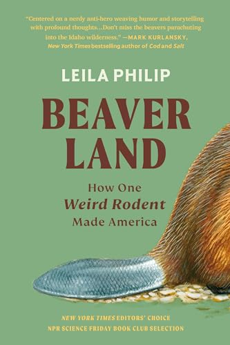 Book cover for Beaverland by Leila Philip featuring a close-up of a beaver's tail.