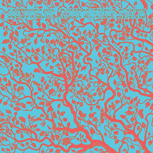 Leo Svirsky - RIVER WITHOUT BANKS  [VINYL]