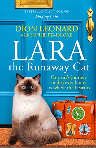 Ragdoll cat sits with an orange suitcase in front of a blue door.