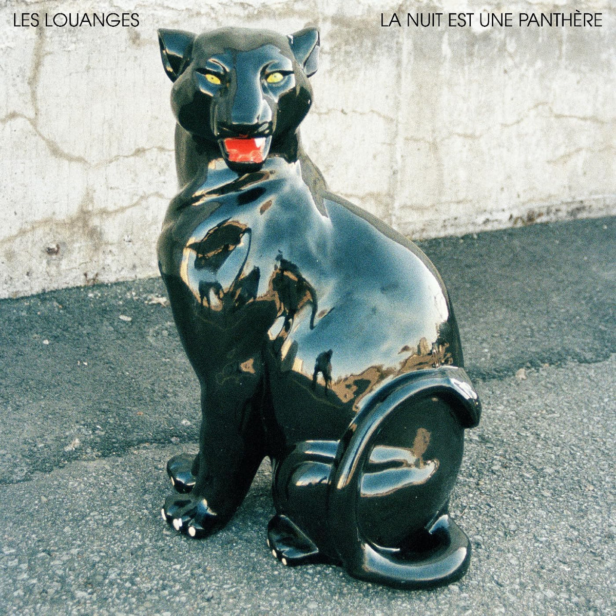 Vinyl record of Les Louanges' album "La Nuit Est Une Panthere," black cover.