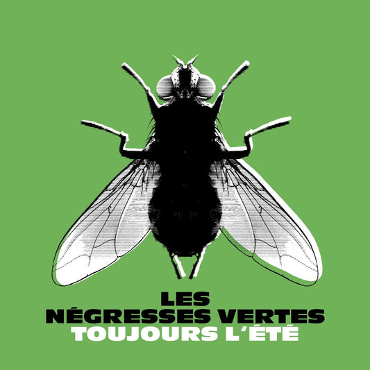 Green background with large black and white image of a fly and French text.