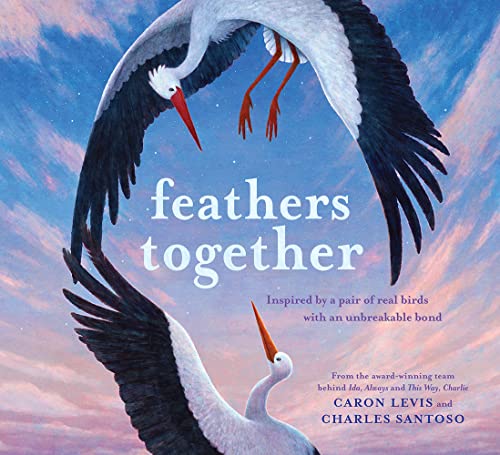 Two storks facing each other with wings spread, book cover illustration.