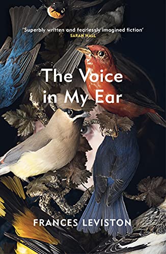 Book cover: "The Voice in My Ear" featuring multiple colorful birds among branches.