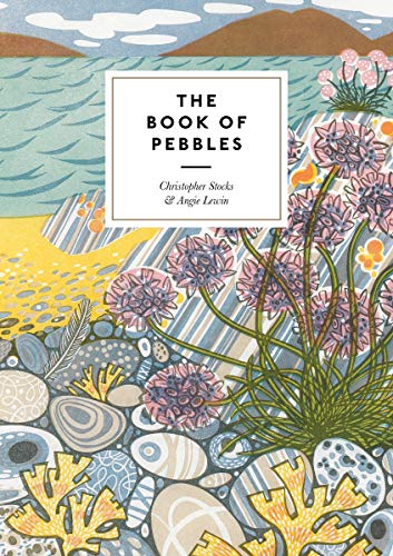 "The Book of Pebbles" book cover with seaside illustration and authors' names.