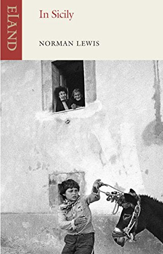 Book cover: boy with donkey, people looking from a window.
