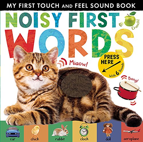 Cover of Noisy First Words touch and feel sound book featuring a tabby kitten.