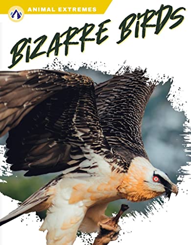 Book cover featuring a harpy eagle in flight, titled "Bizarre Birds".