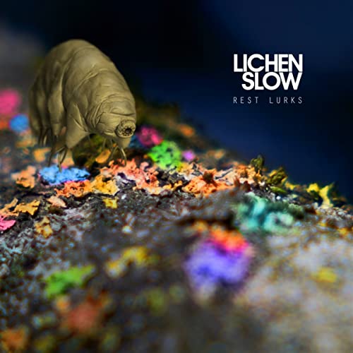 CD cover: a water bear on colorful lichen, dark background.
