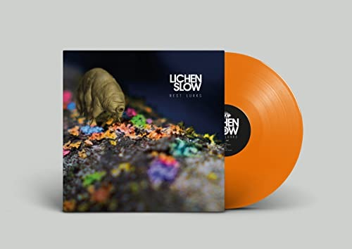 Orange vinyl record with album cover featuring a beetle on foliage.