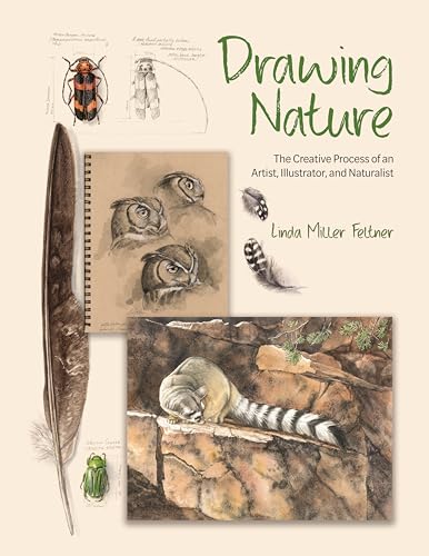 Book cover featuring nature illustrations of owls, insects, and a raccoon.
