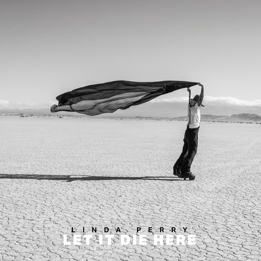 A person in a desert landscape holds a large black fabric blowing in the wind.
