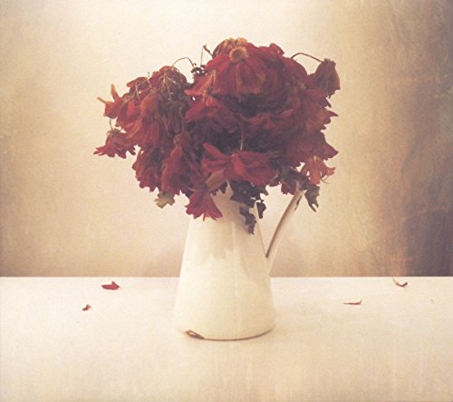 White pitcher holding wilted red flowers on a light surface.