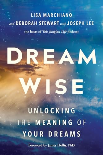 Book cover for "Dream Wise" with starry sky background and white text.