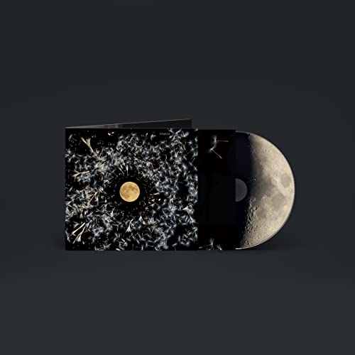 CD case with abstract dark floral design and a golden circle.