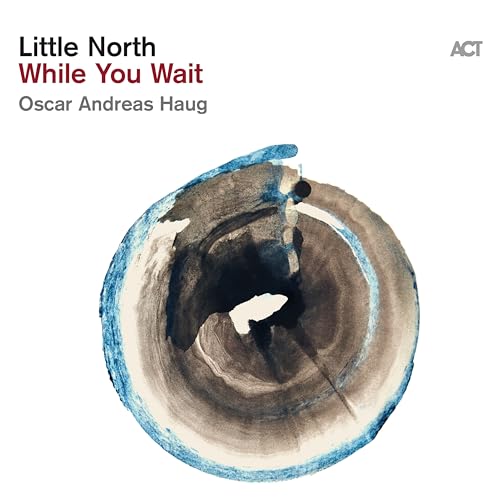 CD cover for Little North’s “While You Wait” with abstract art.