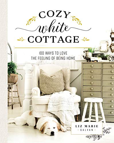 Book cover with a white armchair, dog, and home decor details.