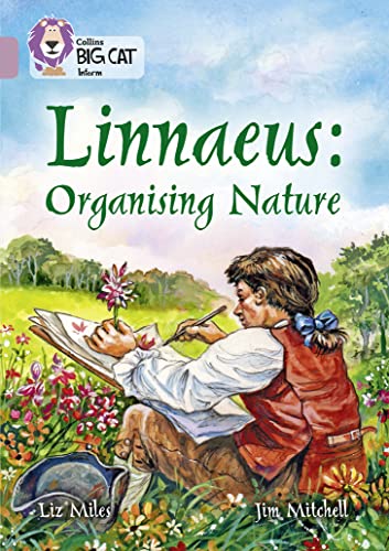 Book cover depicting a young artist sketching flowers in a field.