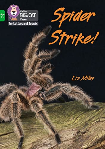 Book cover featuring a large, hairy brown spider on a rock.