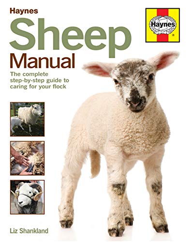 Book cover titled Sheep Manual featuring a lamb and three smaller inset photos.