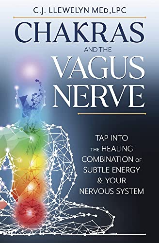 Book cover showing a wireframe human figure with colorful glowing chakra points.