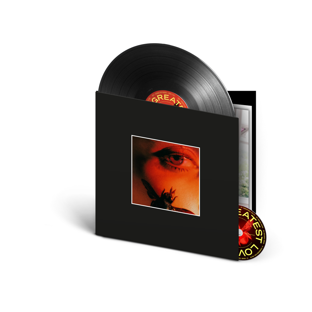 London Grammar vinyl record in a black sleeve featuring a close-up eye and insect.