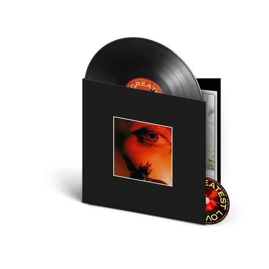 London Grammar vinyl record in a black sleeve featuring a close-up eye and insect.