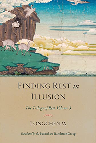 Book cover: painted landscape with animals, title "Finding Rest in Illusion.