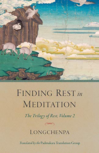 Book cover with a cave, swans, and the title “Finding Rest in Meditation.”