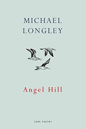 Book cover: "Angel Hill" by Michael Longley, with flying birds illustration.