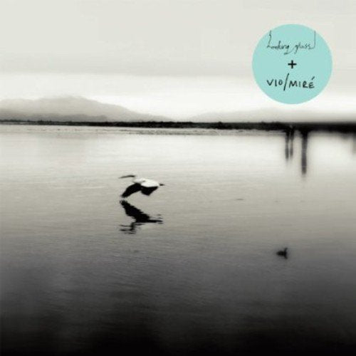 A black and white bird flies over calm water with a teal circular label.